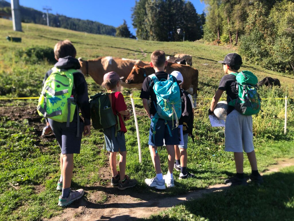 ape-nendaz-veysonnaz-automne2025-4